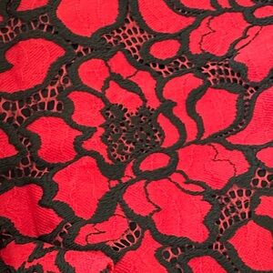 Express High Waist Floral Shorts in Red and Black